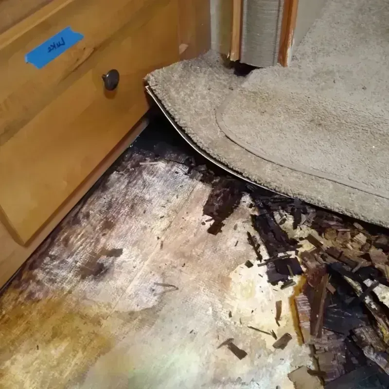 Wood Floor Water Damage in Reynoldsburg, OH